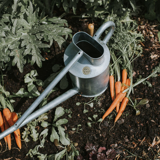 Galvanized two-gallon watering can from The Celtic Farm's Warley Fall collection, featuring a sturdy metal handle and spout.