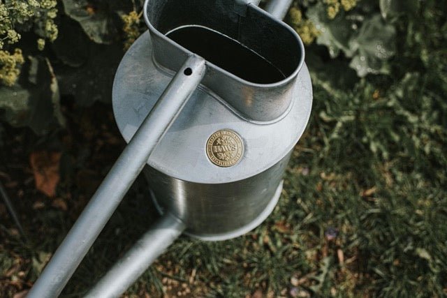 Galvanized two-gallon watering can from The Celtic Farm's Warley Fall collection, durable metal with a classic design.