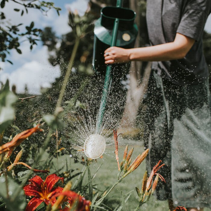 Green Haws Warley Fall watering can by The Celtic Farm, 2-gallon size, featuring a classic design for garden watering.