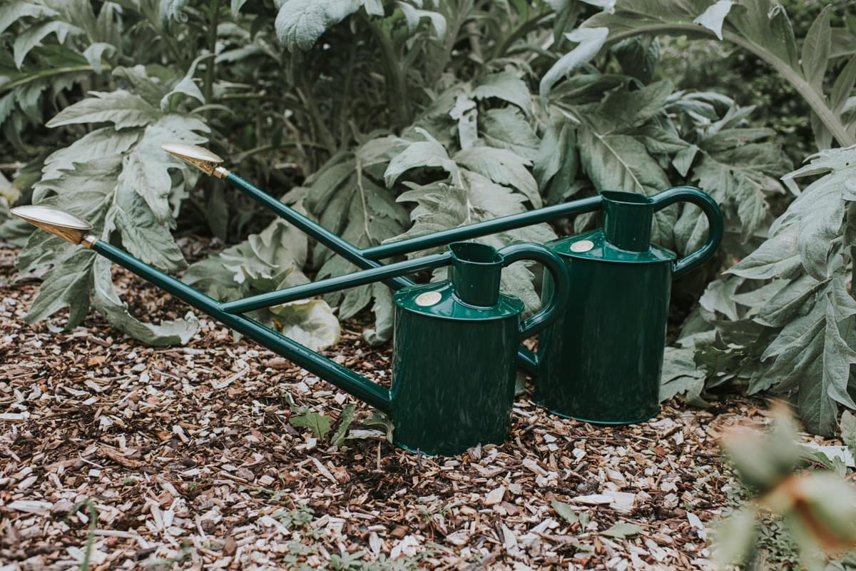 Green Haws Warley Fall watering can by The Celtic Farm, 2-gallon metal watering can for gardening and plant watering.