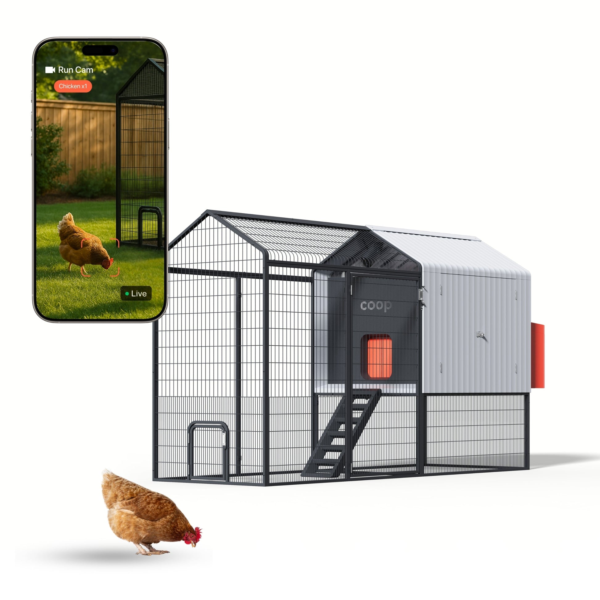 The Smart Coop with steel run and free chicks, featuring a durable coop base and spacious enclosure for poultry.