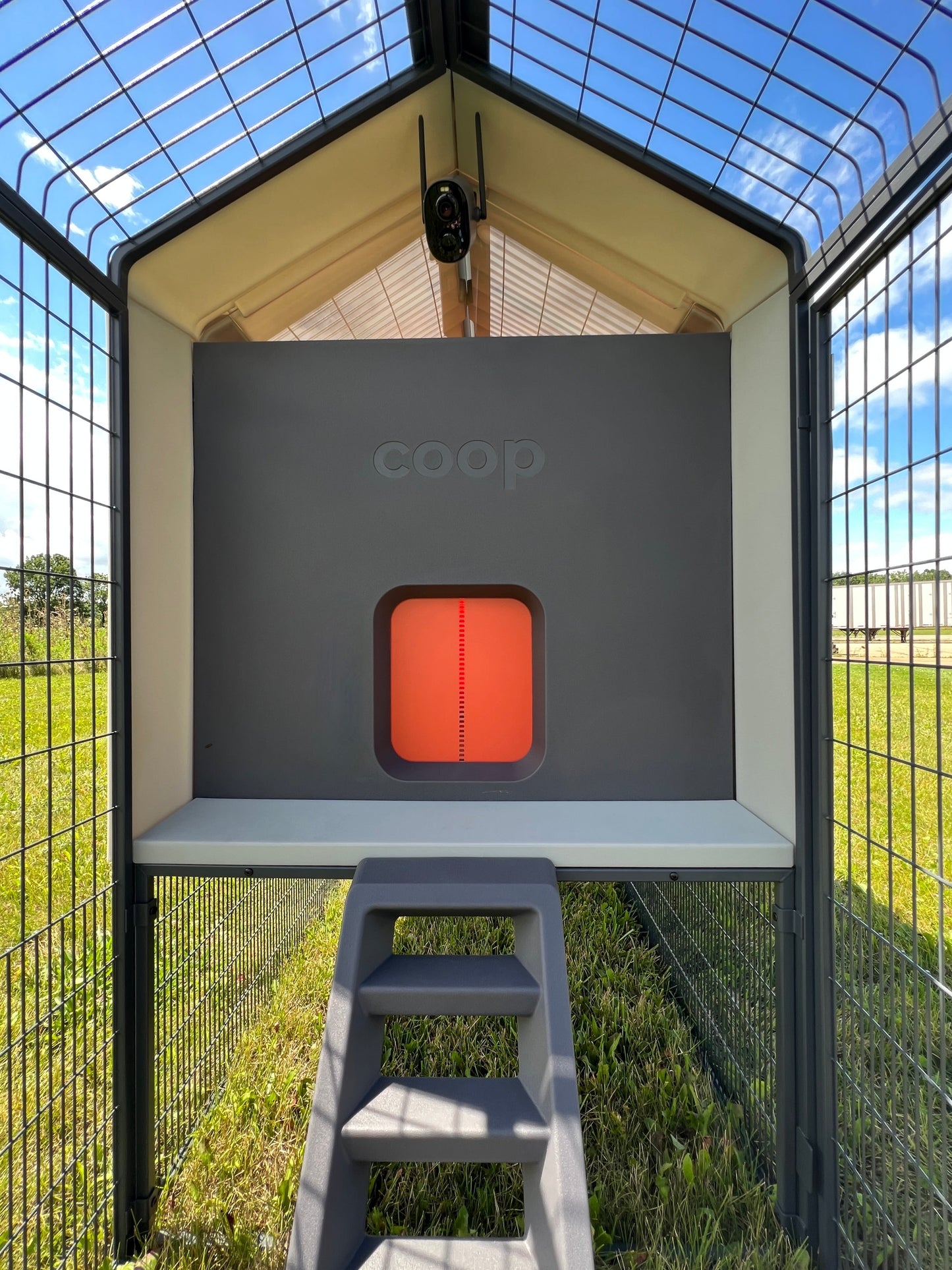 Smart Coop with steel run and free chicks, showing the sturdy coop base and spacious outdoor enclosure for poultry.