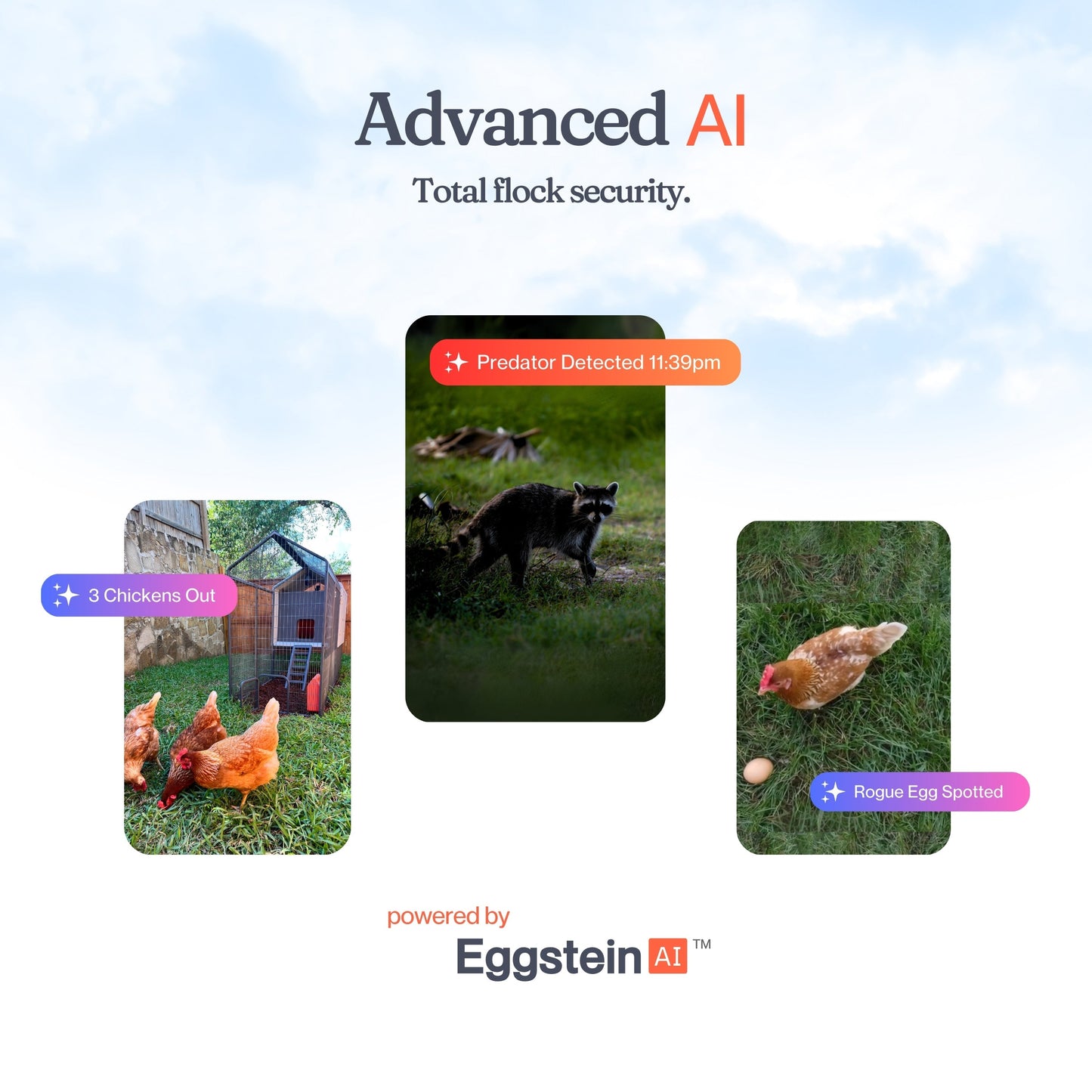 The Smart Coop with steel run and free chicks, featuring a durable coop base and secure outdoor enclosure for backyard poultry.