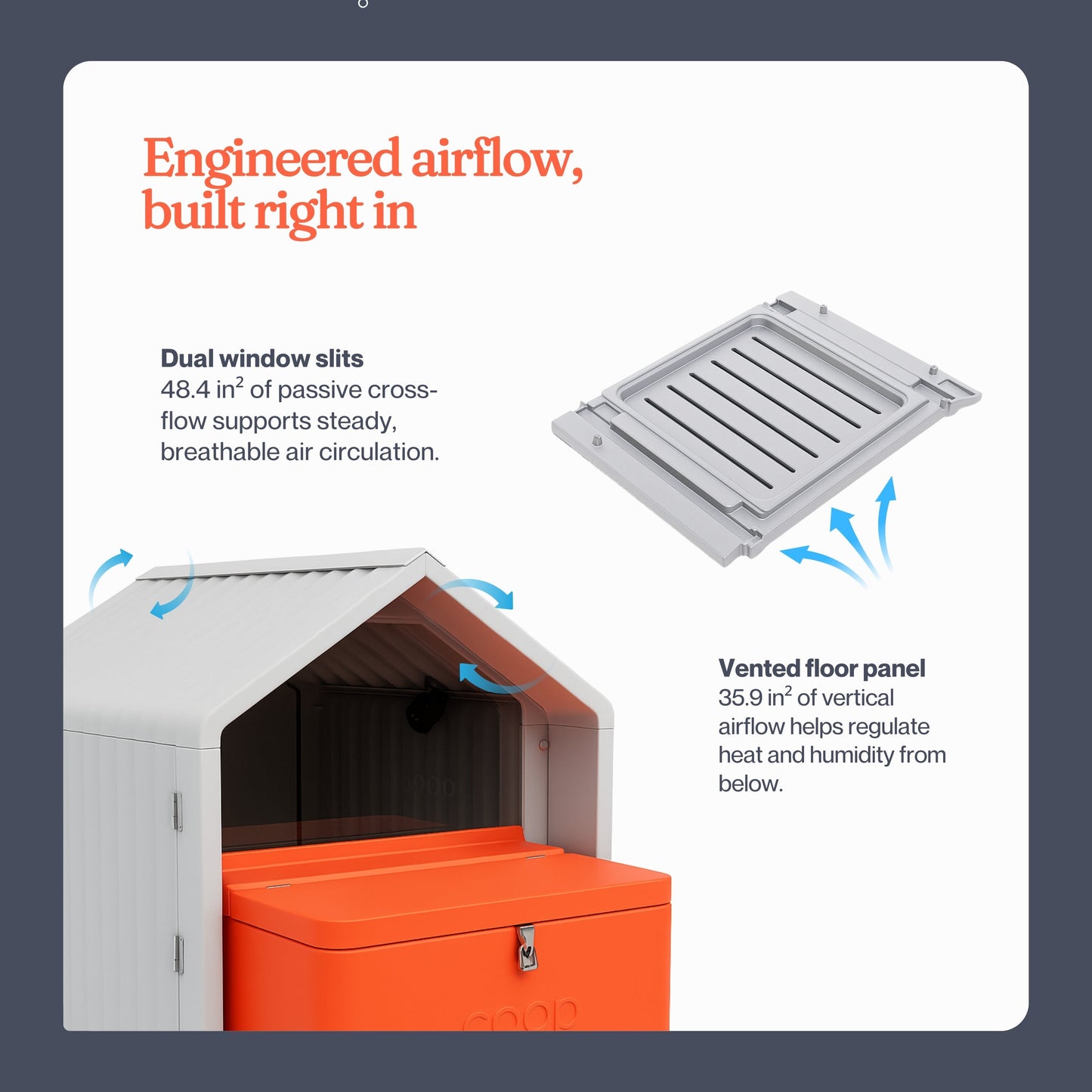 The Smart Coop with steel run and chicks, featuring a spacious outdoor chicken coop and a secure steel enclosure for poultry.