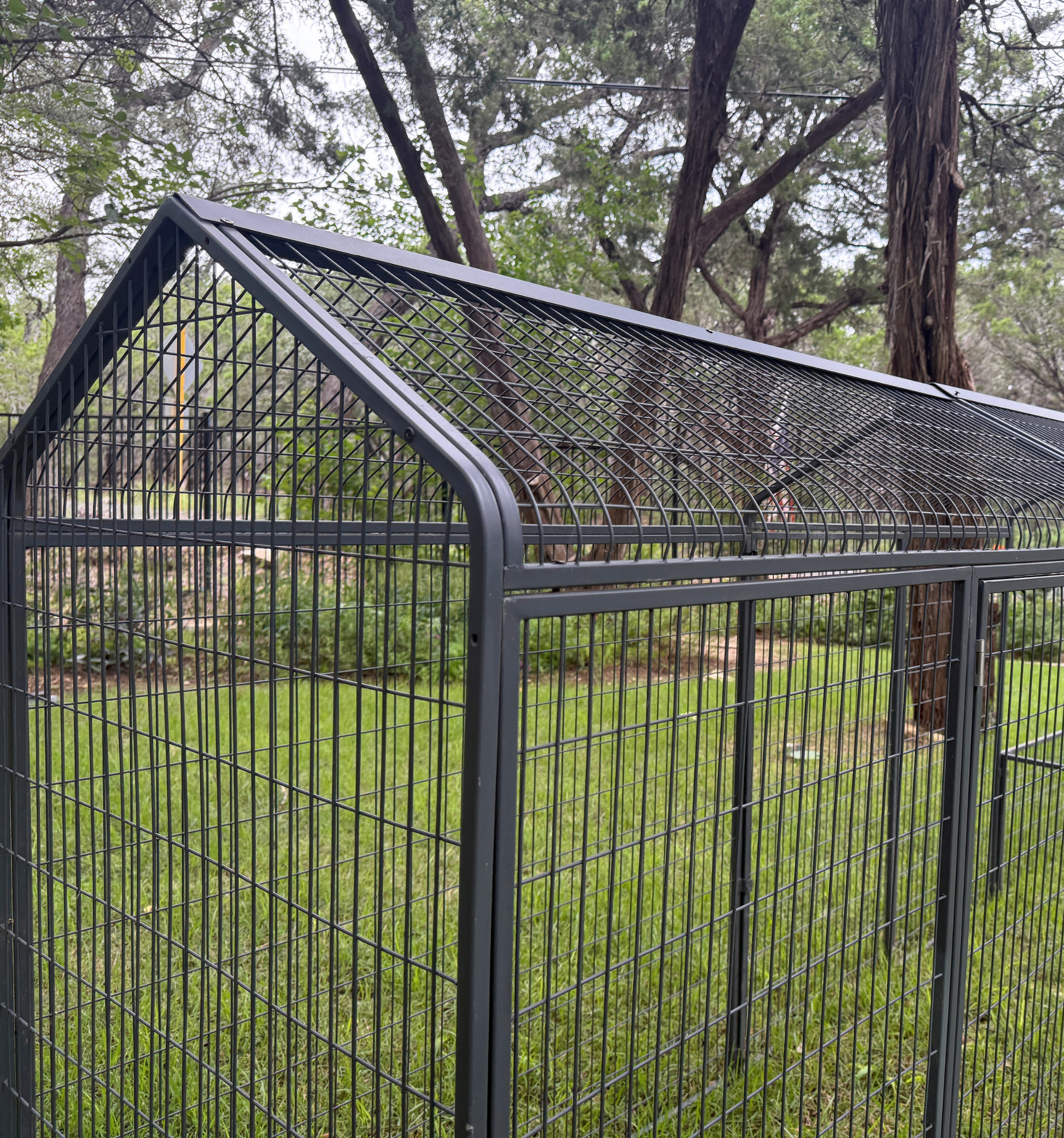 The Smart Coop extended range run add-on for chicken coop, showing a spacious outdoor enclosure with wire fencing.