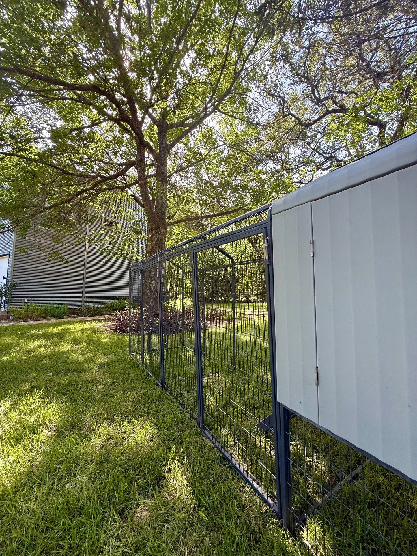 Extended Range Run Add-On for The Smart Coop chicken coop, featuring a spacious outdoor enclosure for free-range chickens.
