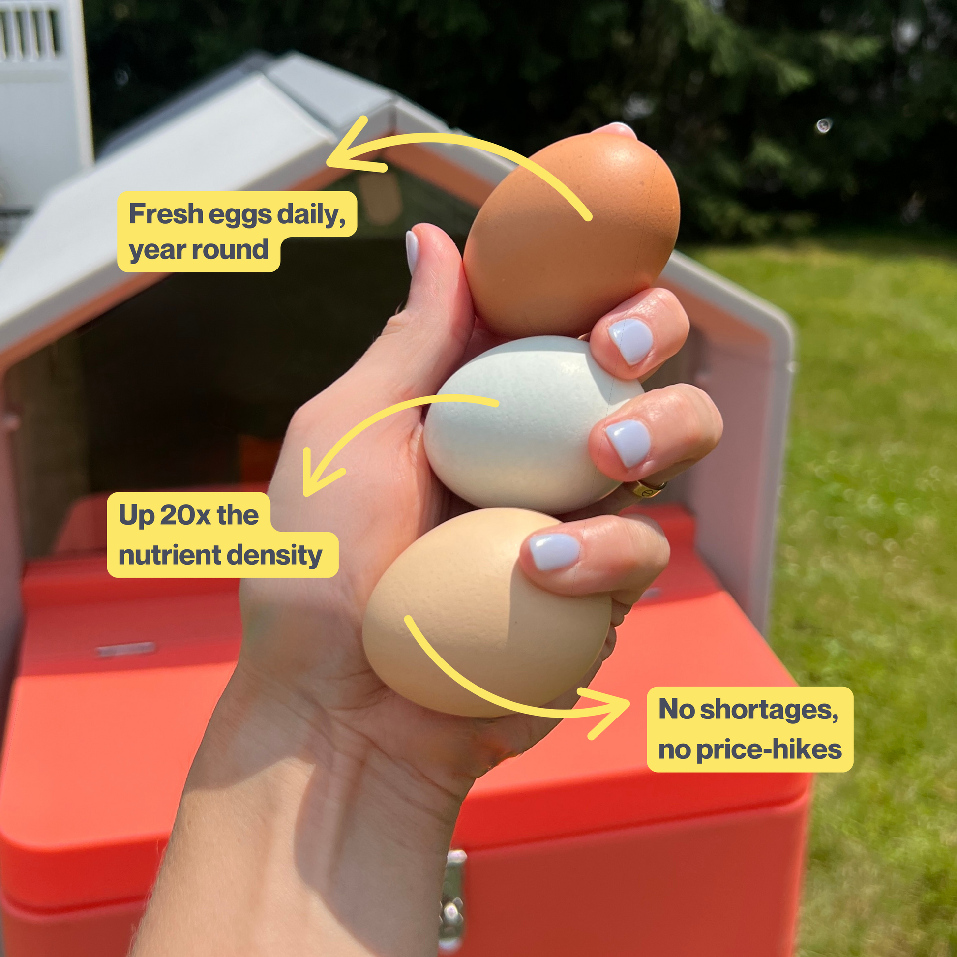 The Smart Coop Unlimited+ chicken coop with free chicks, featuring spacious design and secure enclosure for backyard poultry.