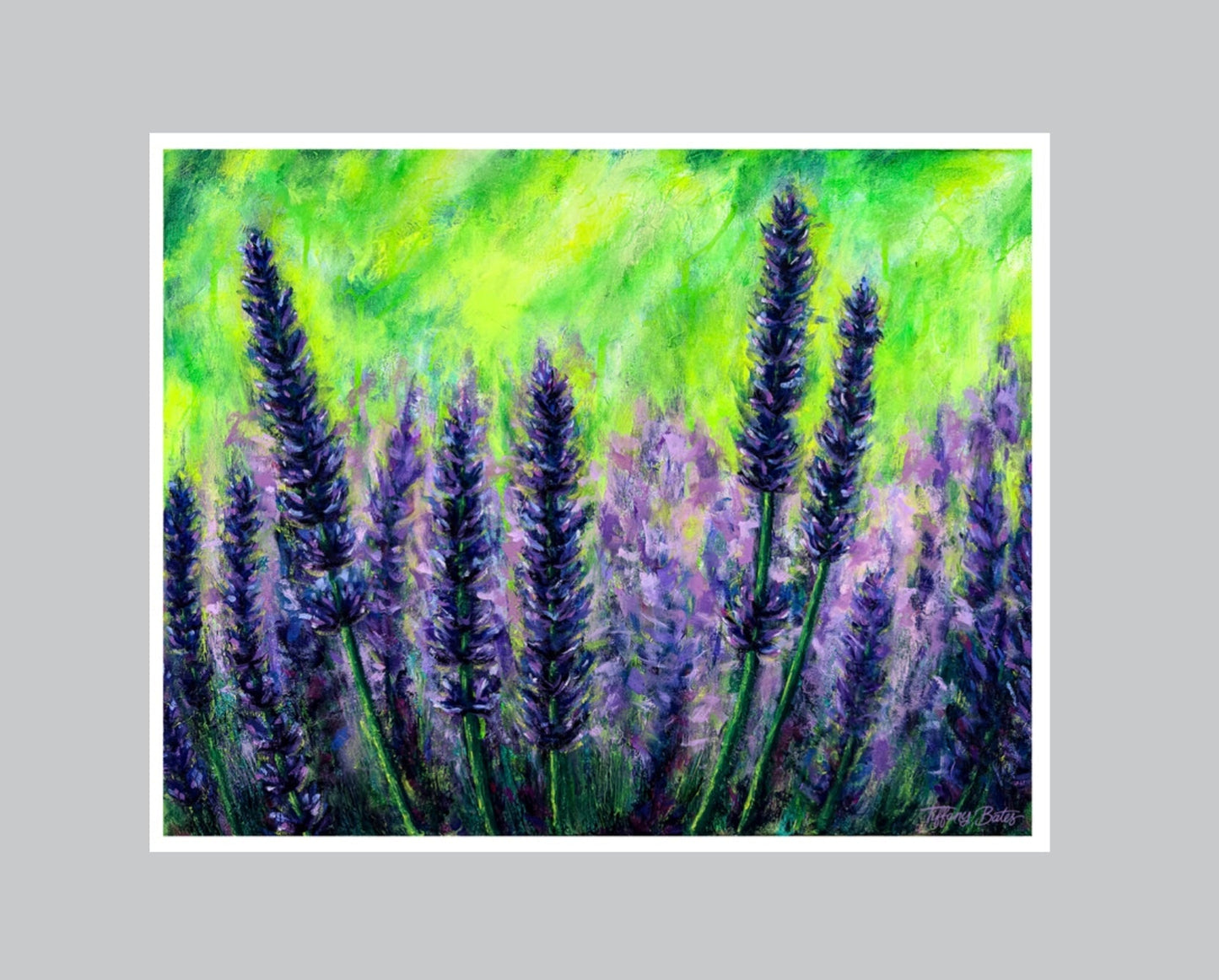 Lavender Fields Forever fine art print by Tiffany Bates Art, featuring a vibrant lavender landscape in multiple sizes.
