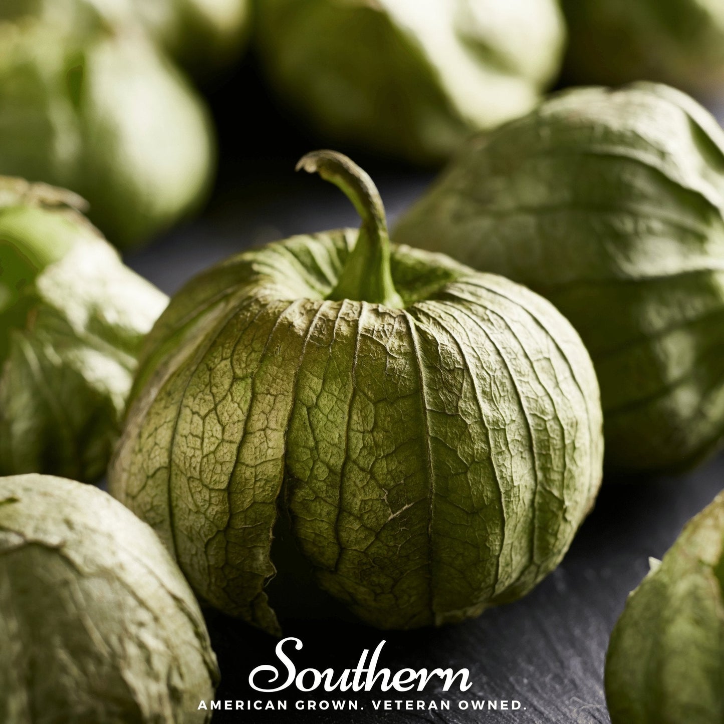 Verde Rio Grande tomatillo seeds from Southern Seeds, fresh, packaged for planting, with green husks and small round fruits.