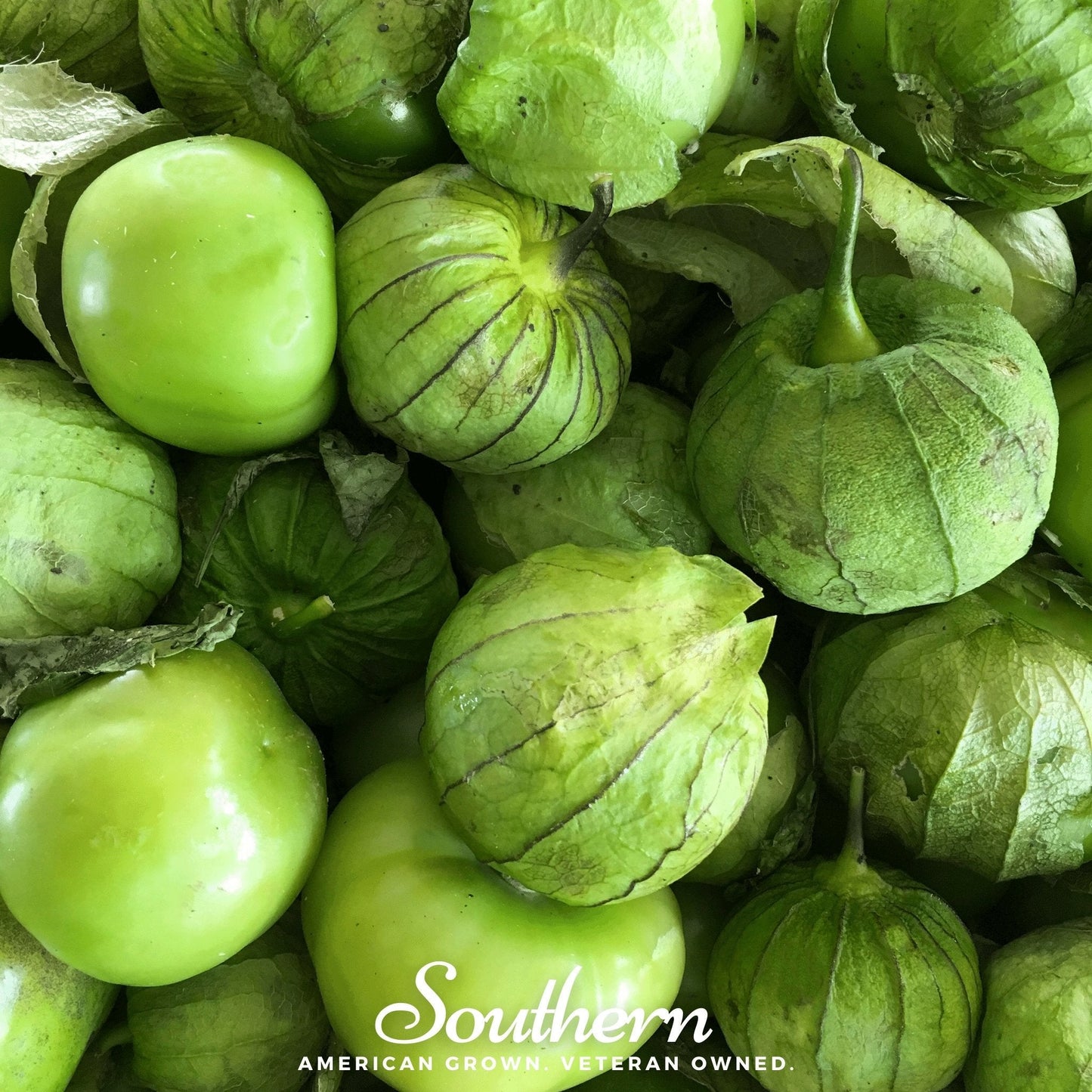 Green Verde Rio Grande tomatillo seeds from Southern Seeds, showcasing vibrant seed packets for planting and cultivation.