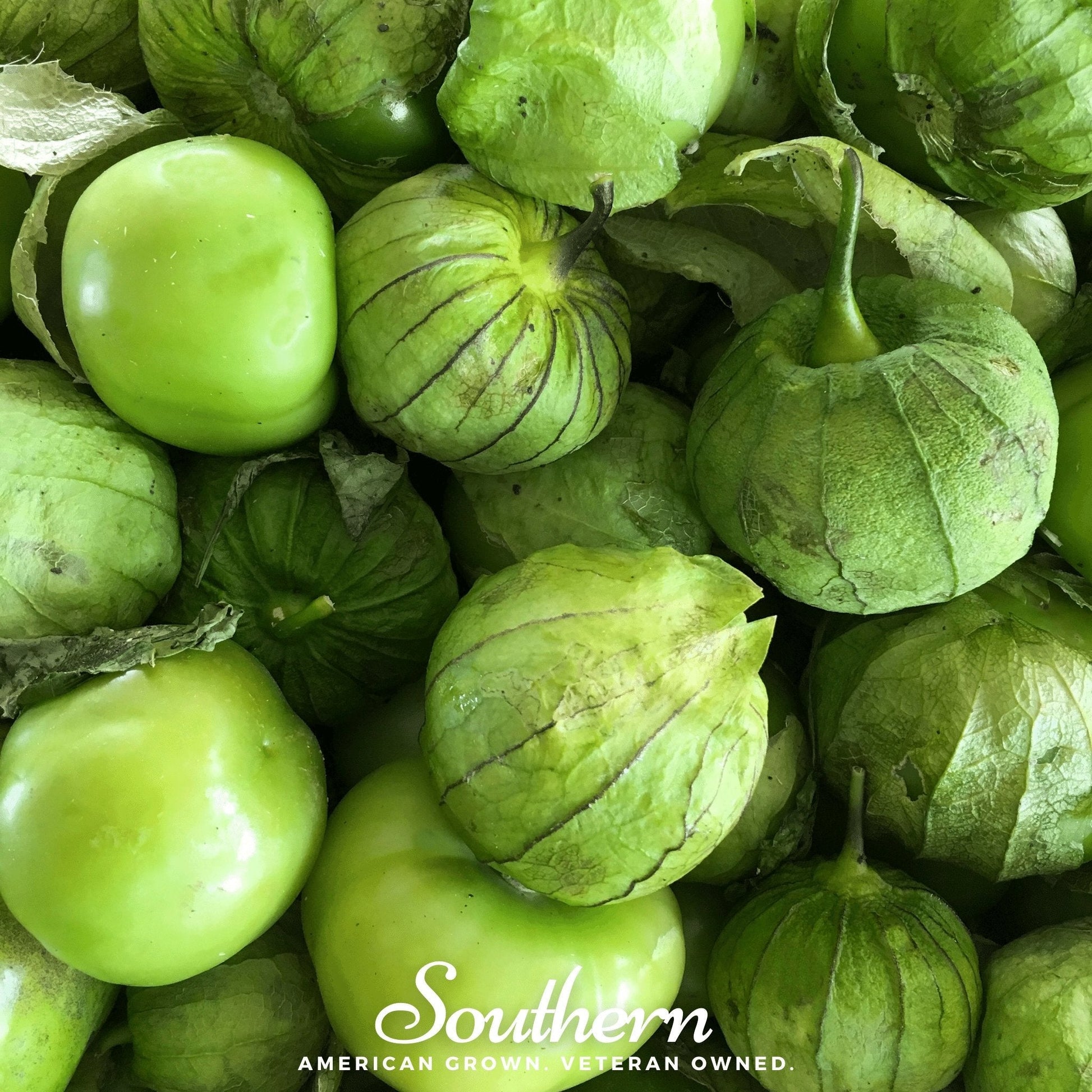 Green Verde Rio Grande tomatillo seeds from Southern Seeds, showcasing vibrant seed packets for planting and cultivation.