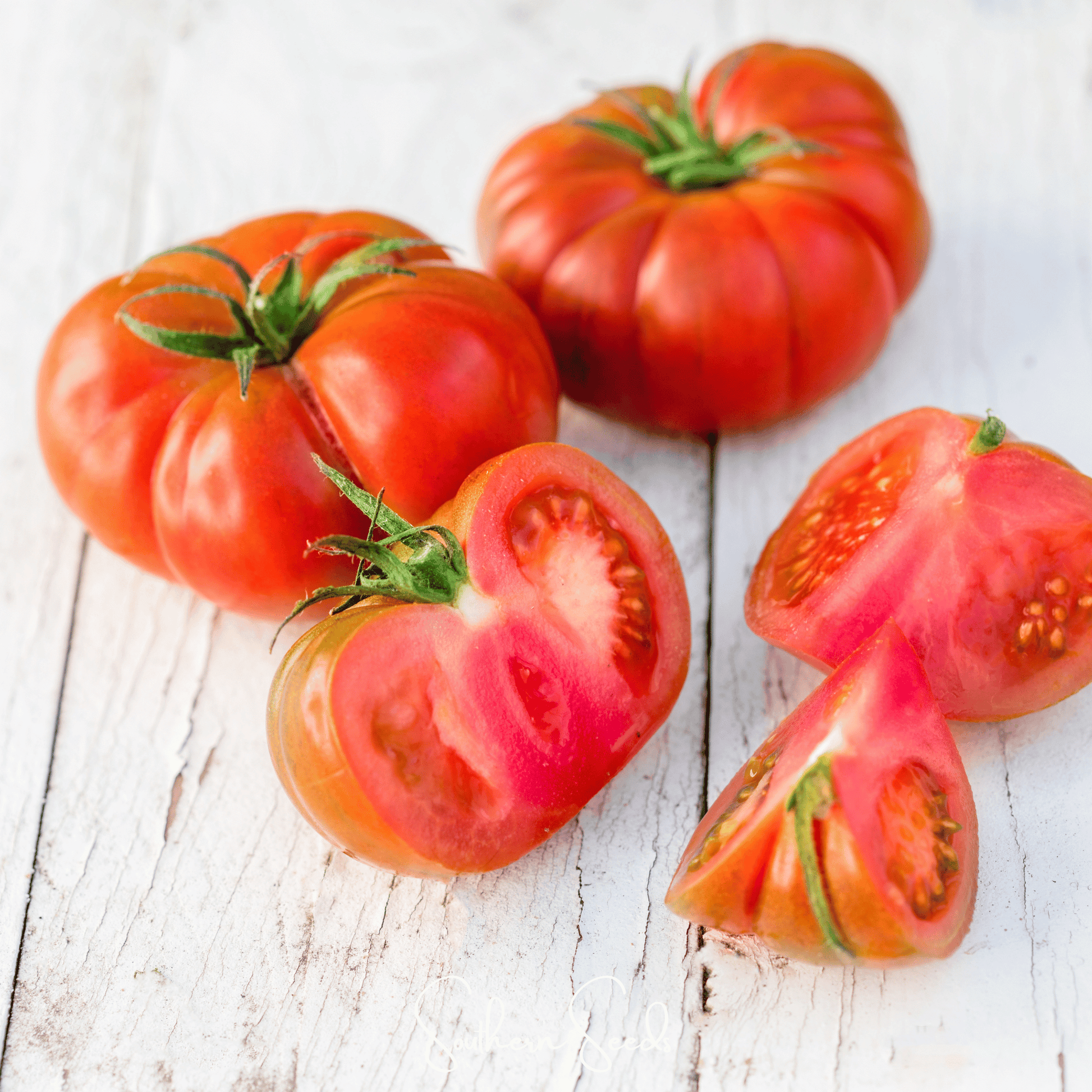 Red Brandywine Tomato seeds from Southern Seeds, showing vibrant heirloom tomato with green foliage.