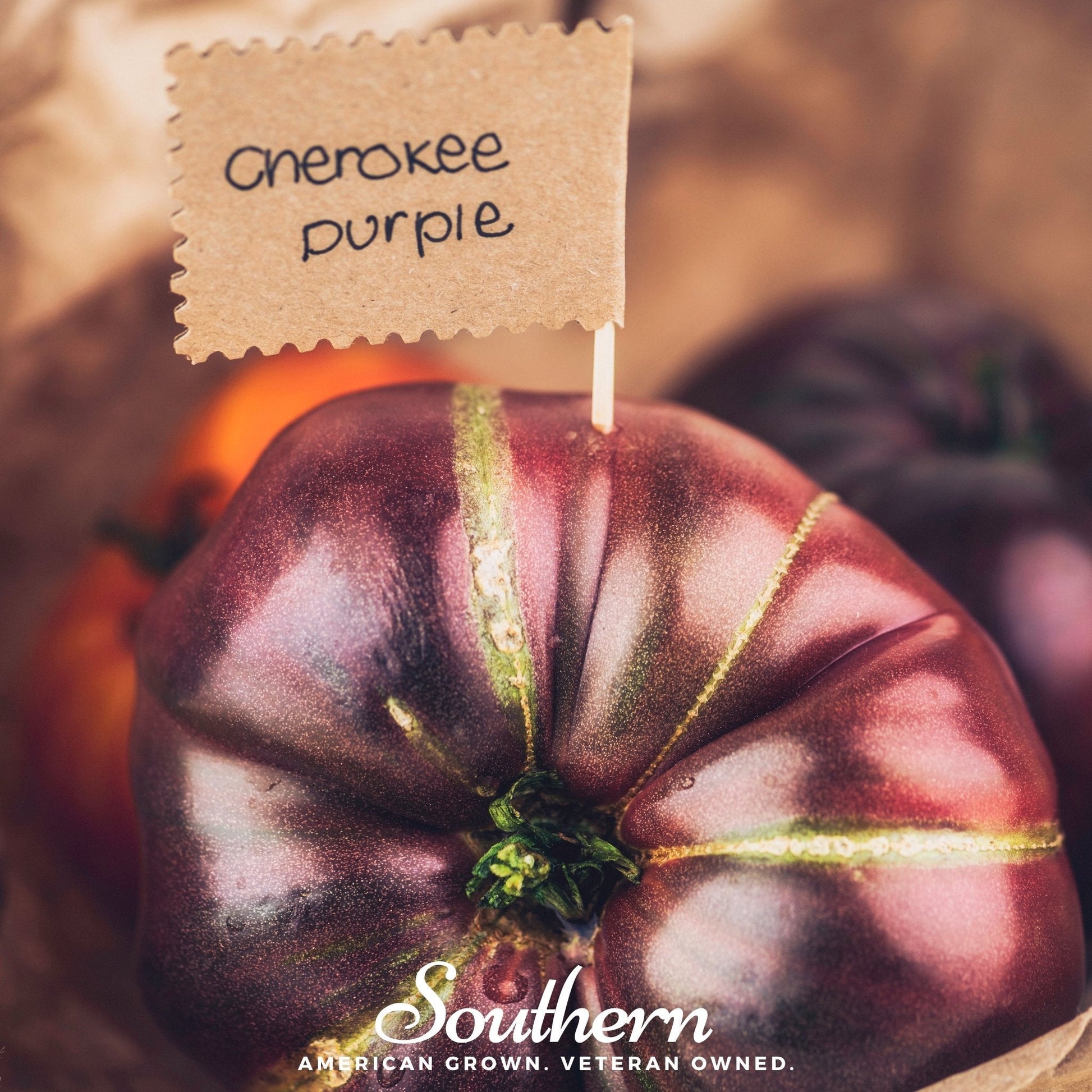Cherokee Purple Tomato seeds from Southern Seeds, showing a ripe purple heirloom tomato on the plant.