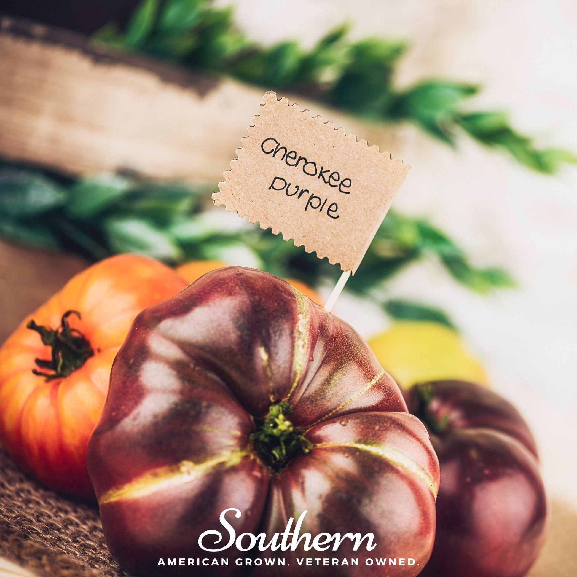 Cherokee Purple Tomato seeds from Southern Seeds, showing 50 seeds of heirloom purple tomato variety, ideal for home gardening.