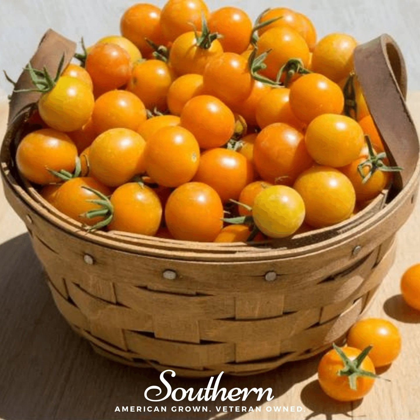 Golden Nugget Tomato seeds from Southern Seeds, showcasing vibrant small tomatoes on the plant.