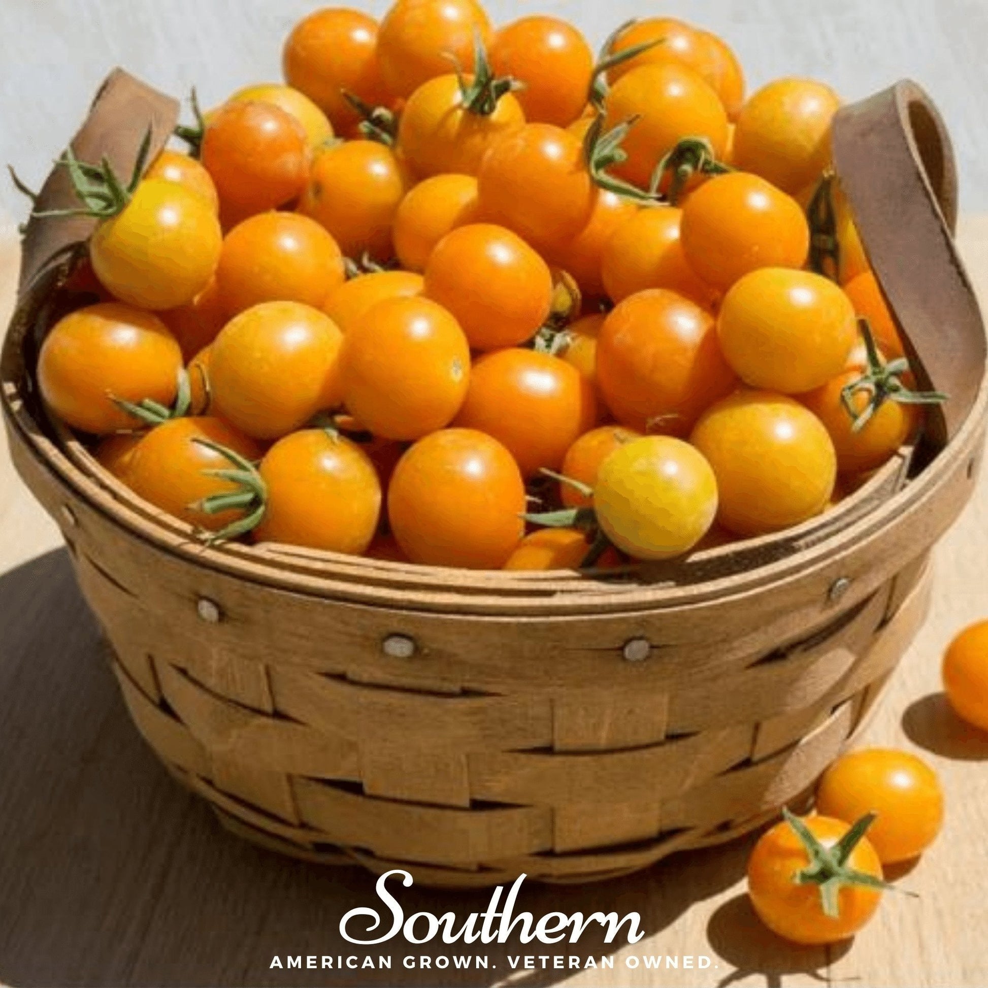 Golden Nugget Tomato seeds from Southern Seeds, showcasing vibrant small tomatoes on the plant.