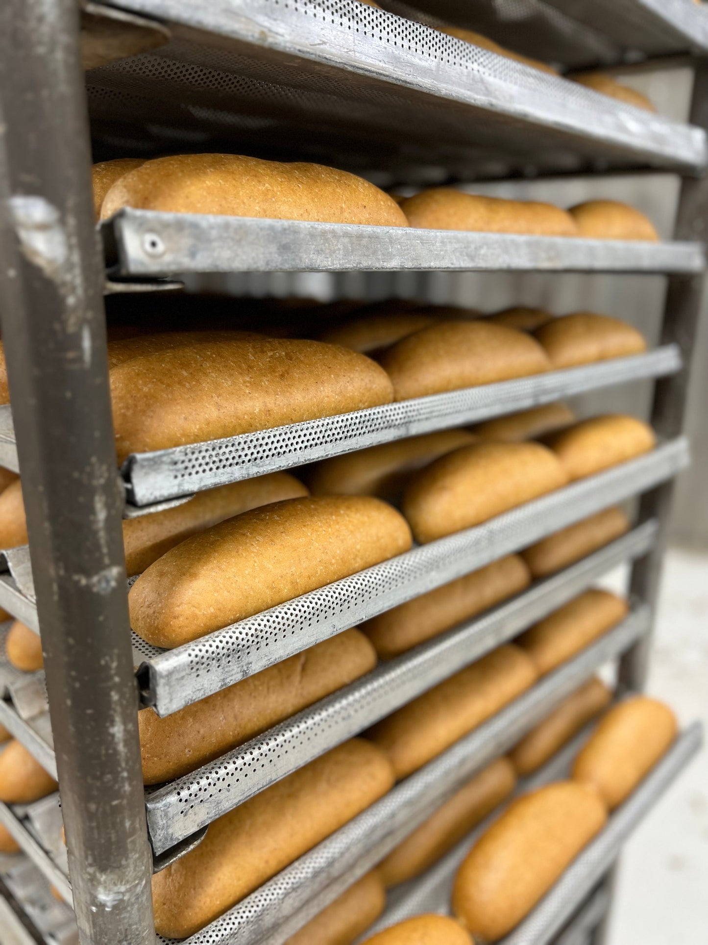Two bags of Unbelievabuns UnbelievaHoagies high-protein, low-carb 8-inch hoagie rolls, with eight rolls visible in the image.