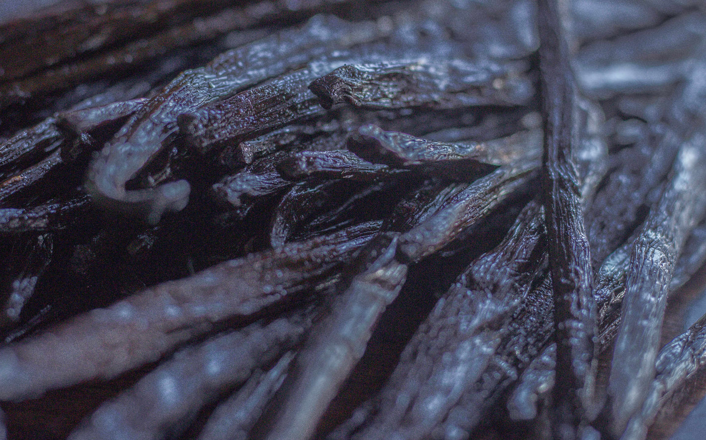 Homemade vanilla extract kit with organic Madagascar vanilla beans from Vanilla Bean Kings, showing vanilla beans and extraction setup.