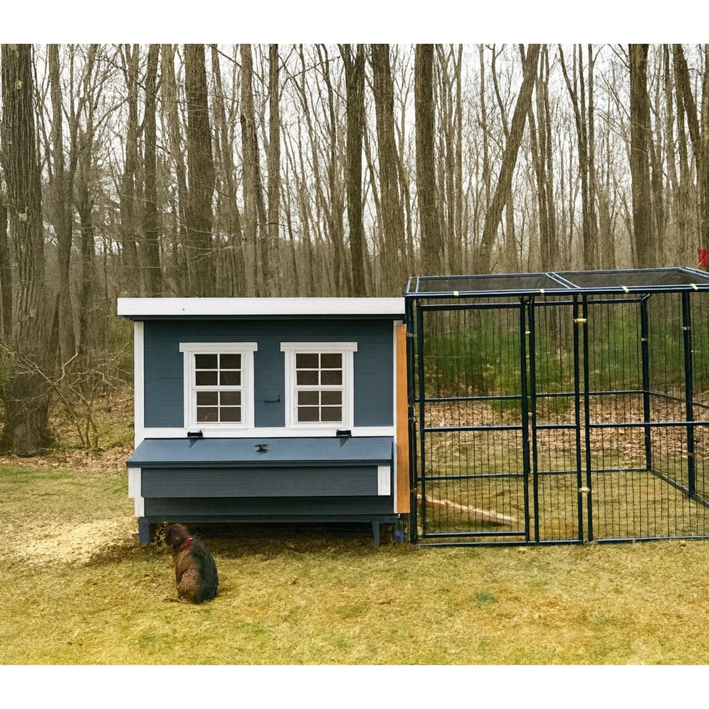 OverEZ large chicken coop with space for up to 15 chickens, featuring sturdy construction and spacious design for outdoor poultry care.