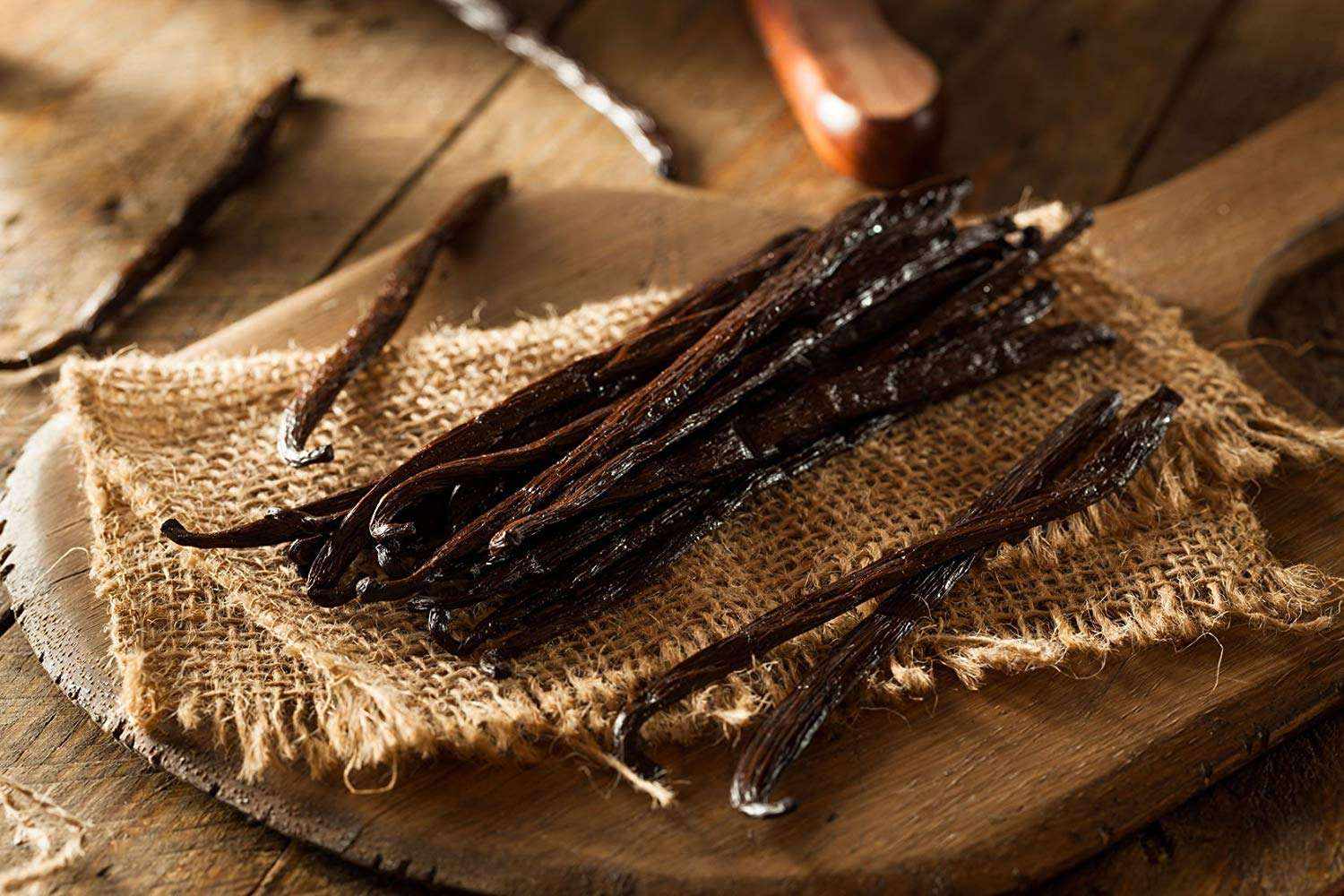 Organic Madagascar vanilla beans from Vanilla Bean Kings, showcasing long, fragrant vanilla beans for homemade vanilla extract.