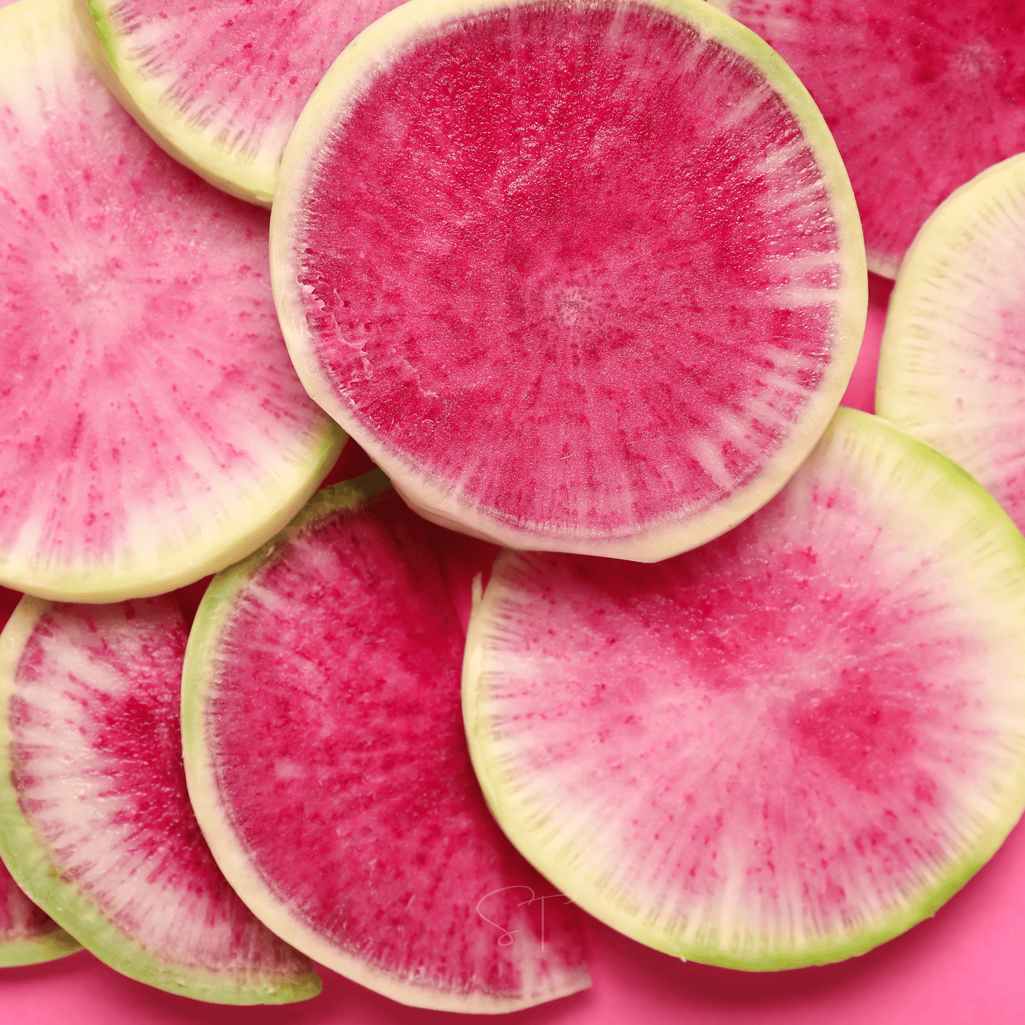 Packet of Southern Seeds Watermelon Radish seeds, showing a colorful head of radish with green tops and vibrant pink flesh.