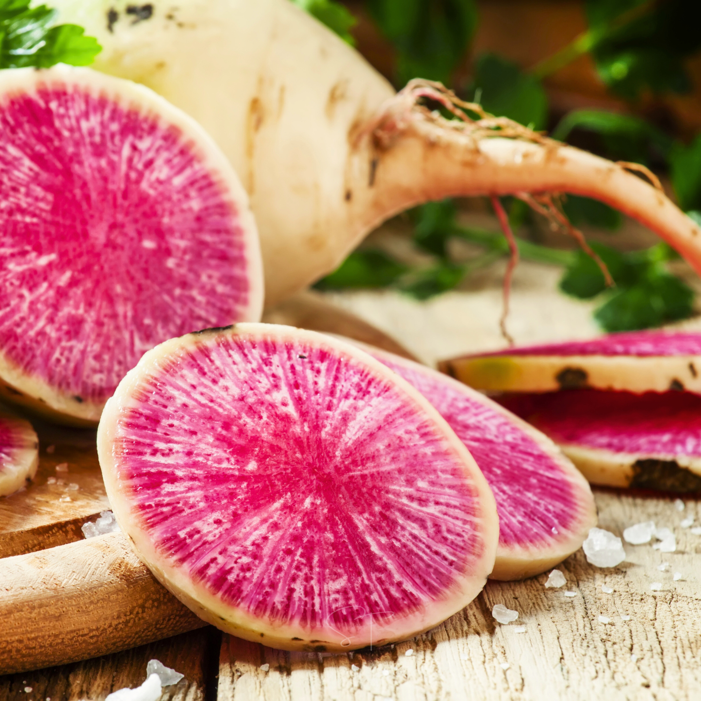 Watermelon radish seeds packet from Southern Seeds, featuring vibrant pink and green radish bulbs ideal for gardening.