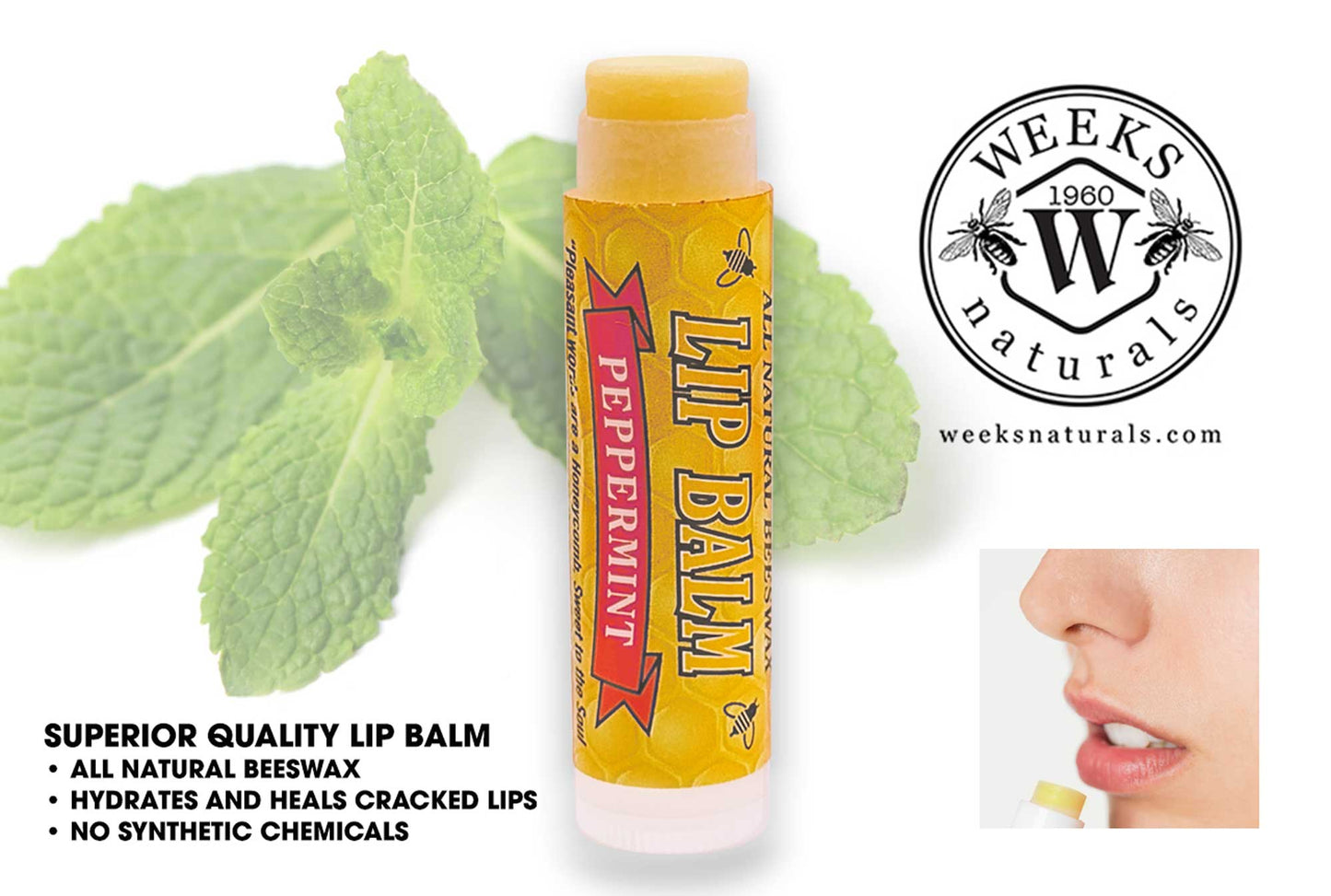 Weeks Honey Farm beeswax lip balm in coconut pie flavor, shown in single and twin pack containers.