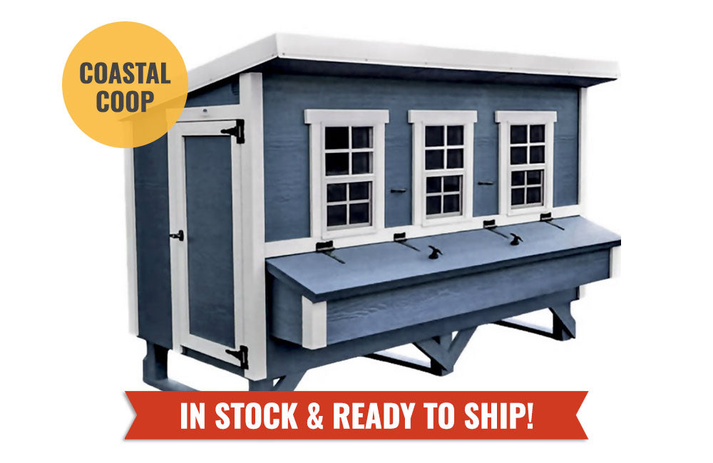 Blue XL OverEZ Chicken Coop designed for up to 20 chickens, spacious outdoor chicken house with durable construction.