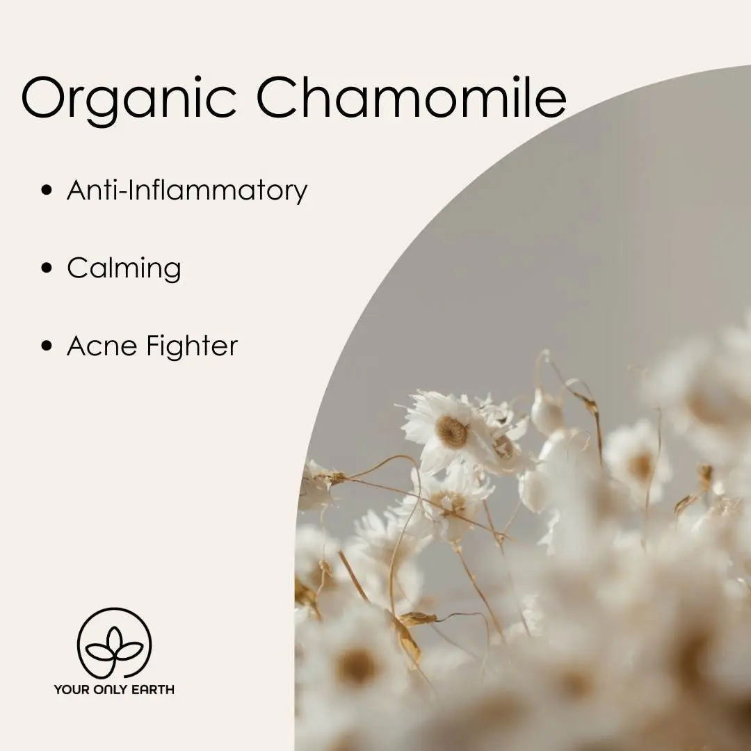 Your Only Earth Beauty Balm in a 1 oz jar, hydrating skin care product with a smooth, creamy texture for glowing skin