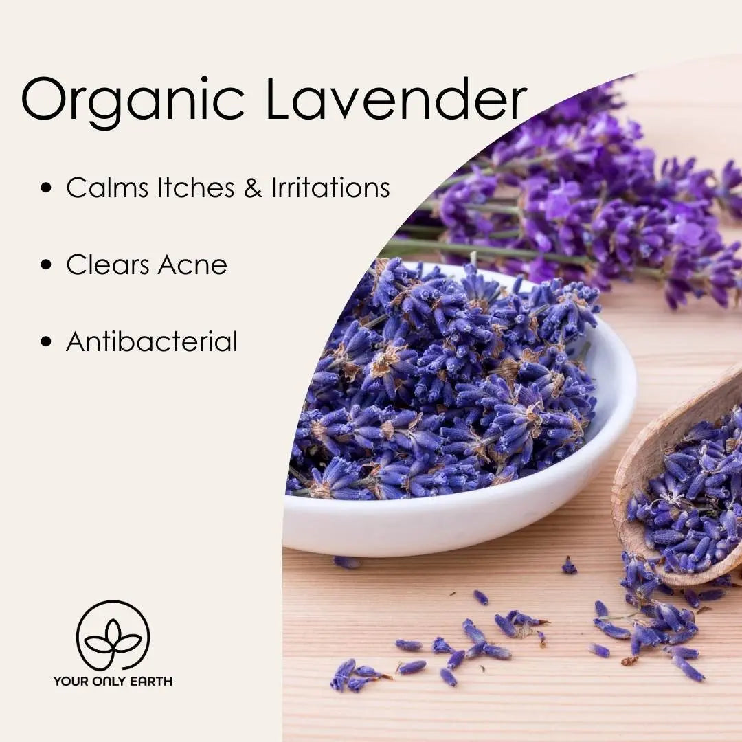Bar of Healer Soap by Your Only Earth, showcasing natural ingredients and soothing texture in a close-up image.