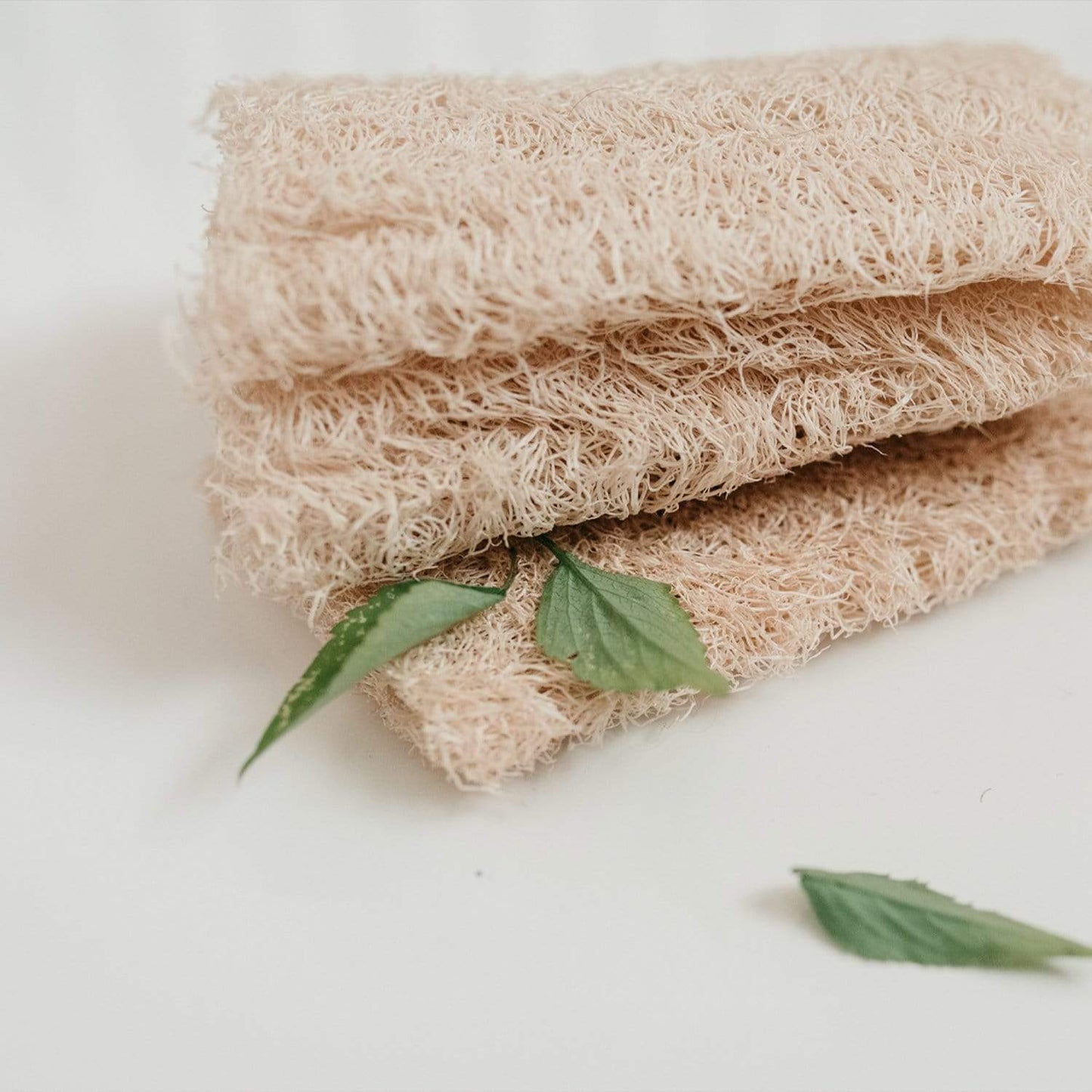 Three natural loofah bath sponges in a pack from ZeroWasteStore.com, ideal for exfoliating and gentle cleansing skin.