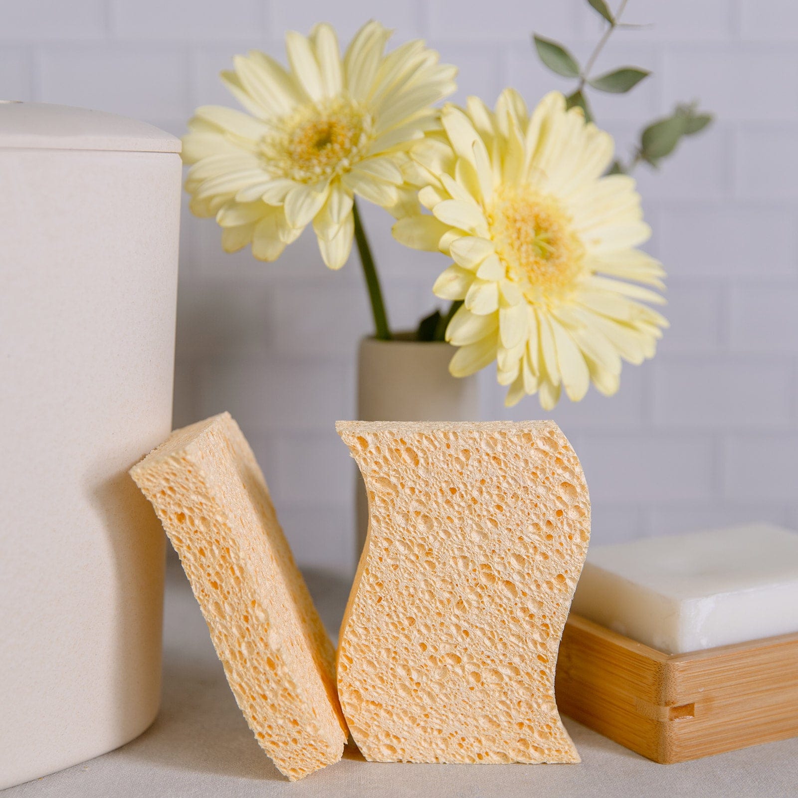 Two cellulose kitchen sponges from ZeroWasteStore.com, eco-friendly household cleaning supplies for kitchen cleaning.