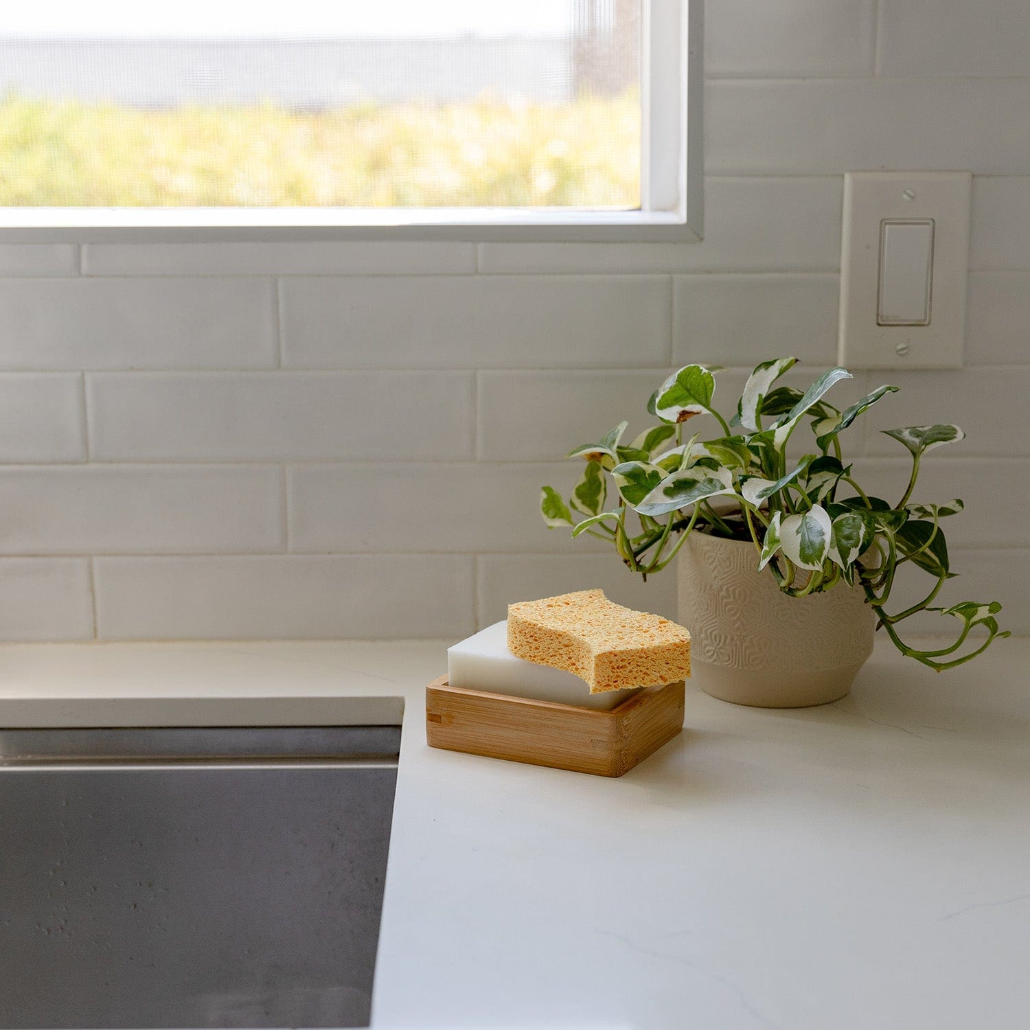 Two cellulose kitchen sponges from ZeroWasteStore.com, eco-friendly household cleaning supplies for kitchen use.
