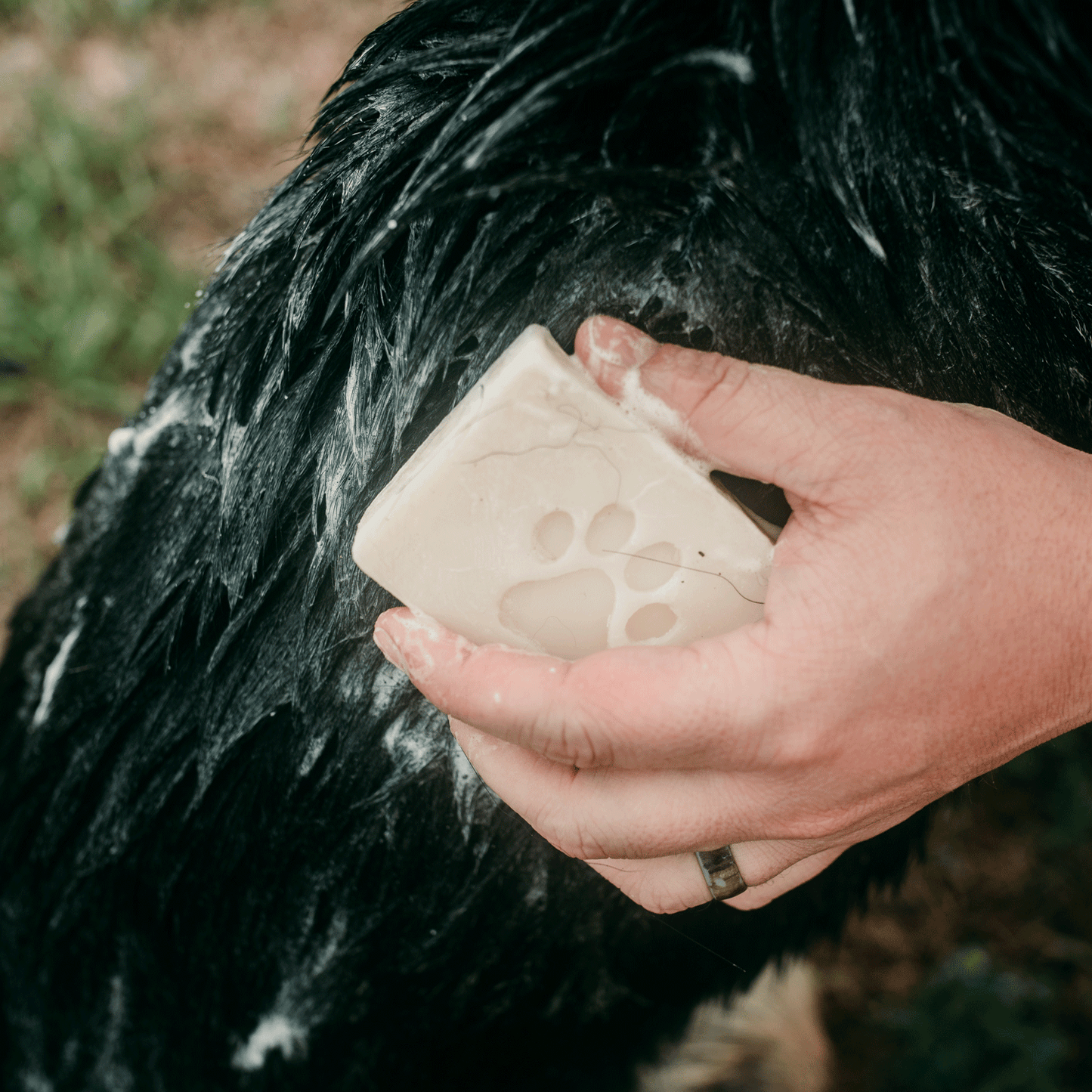 Natural pet shampoo bar by ZeroWasteStore.com, vegan, plastic-free dog shampoo and conditioner in a 4oz eco-friendly package.