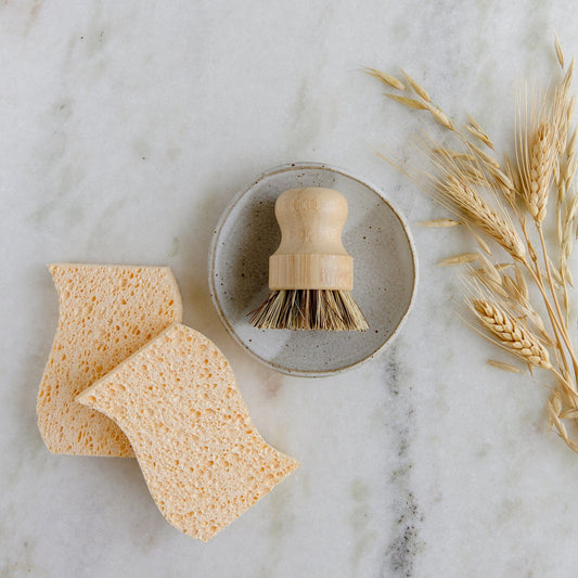 Mini dish sponge and scrub brushes from ZeroWasteStore.com in a compact kit, ideal for eco-friendly kitchen cleaning.