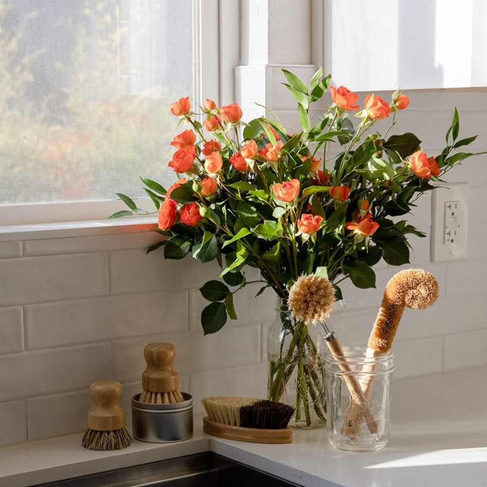 Zero Waste Dish Brush Kit with eco-friendly scrub brushes for cleaning dishes and kitchenware.