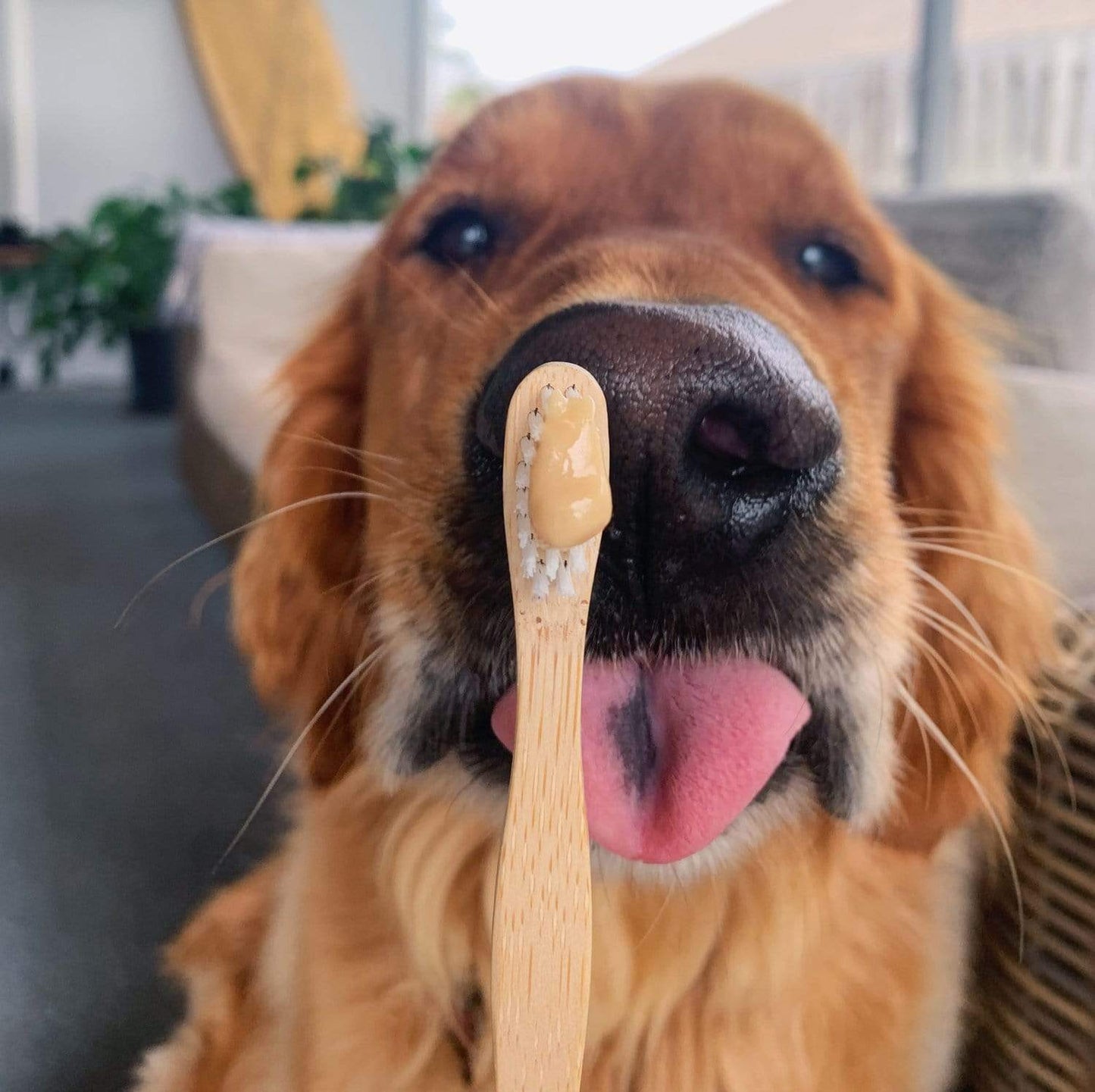 Child's bamboo toothbrush from ZeroWasteStore.com with eco-friendly bamboo handle and soft bristles for gentle cleaning.